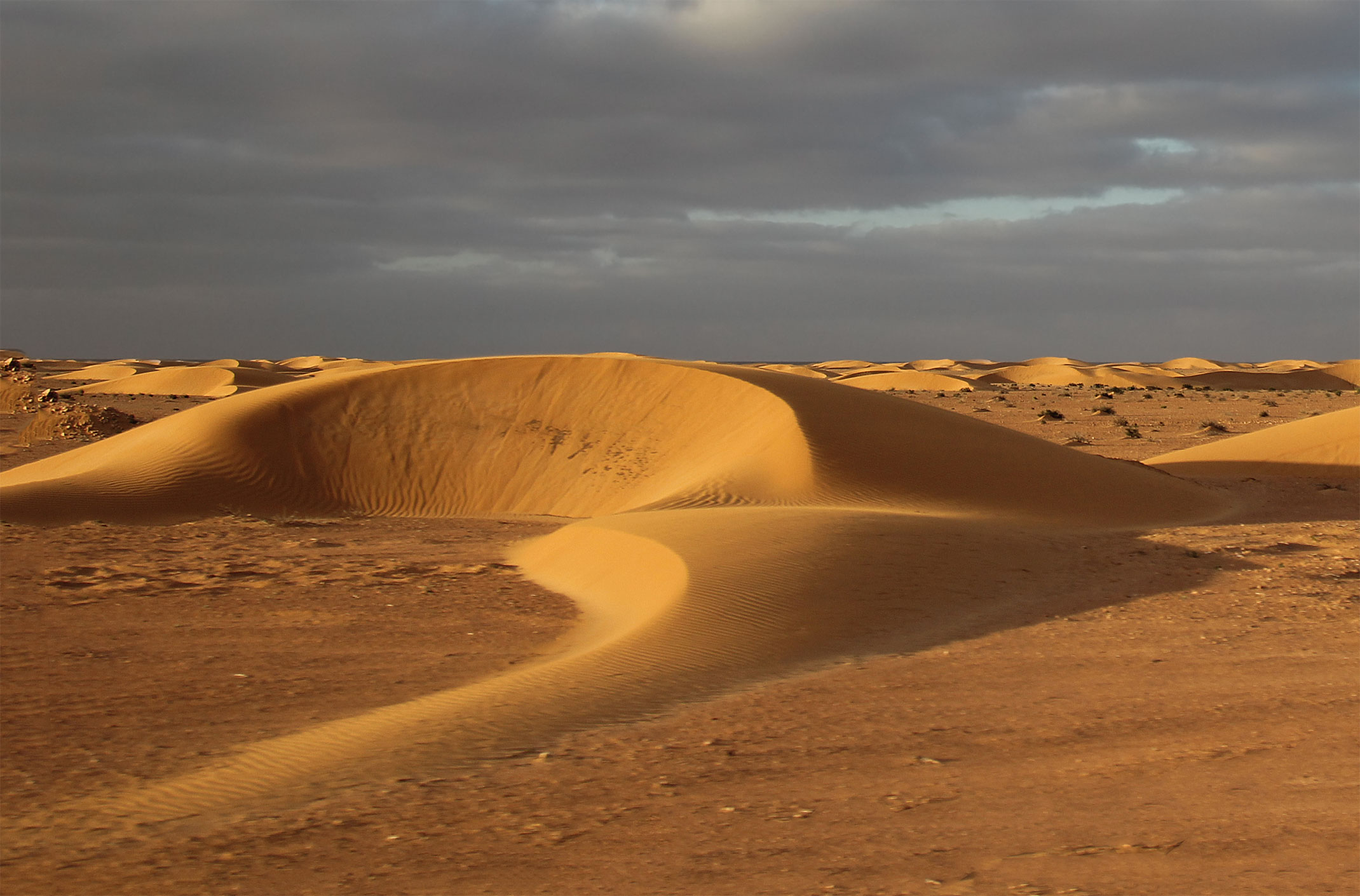 Sahara Zachodnia