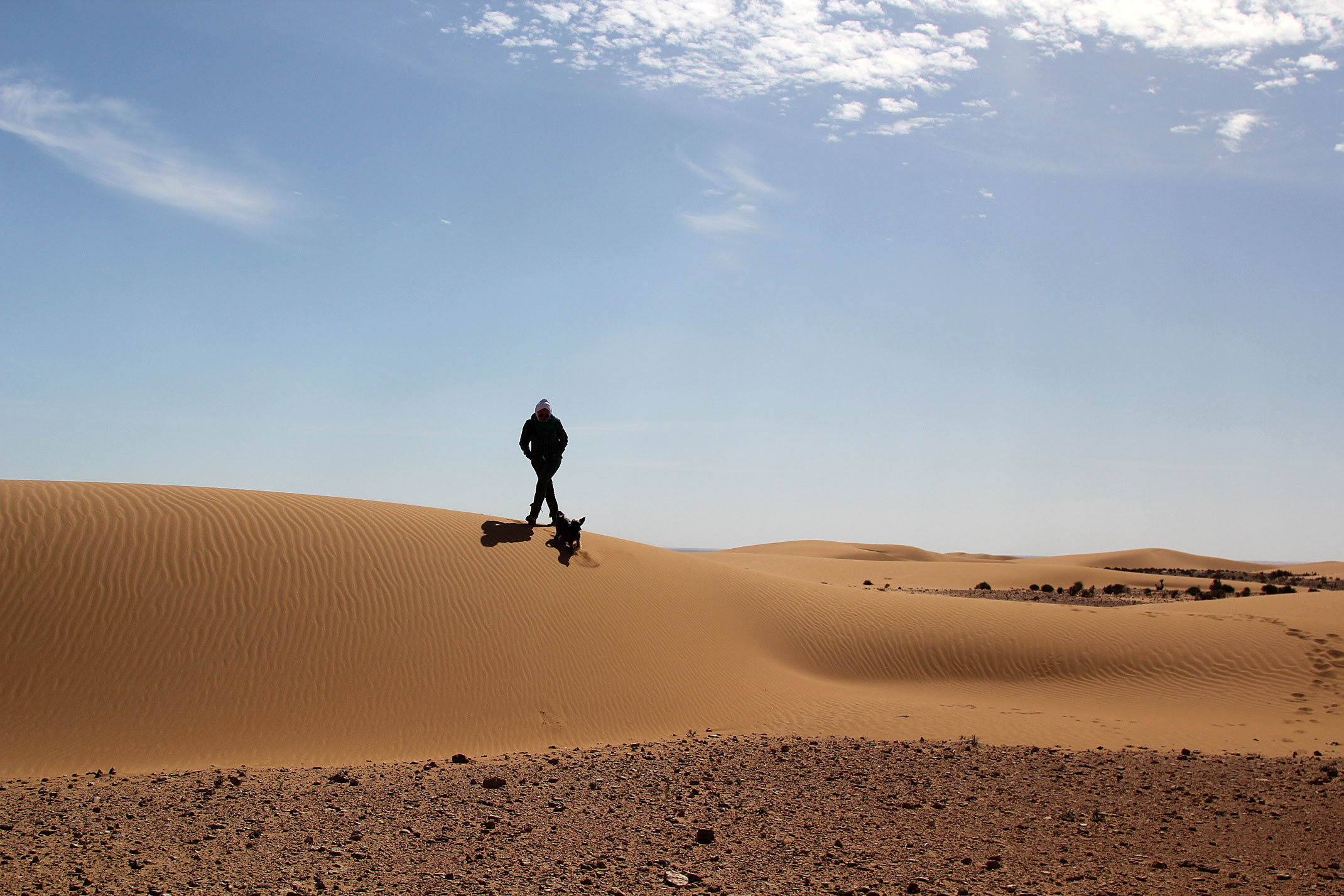 Sahara Zachodnia.Piaski pustyni.