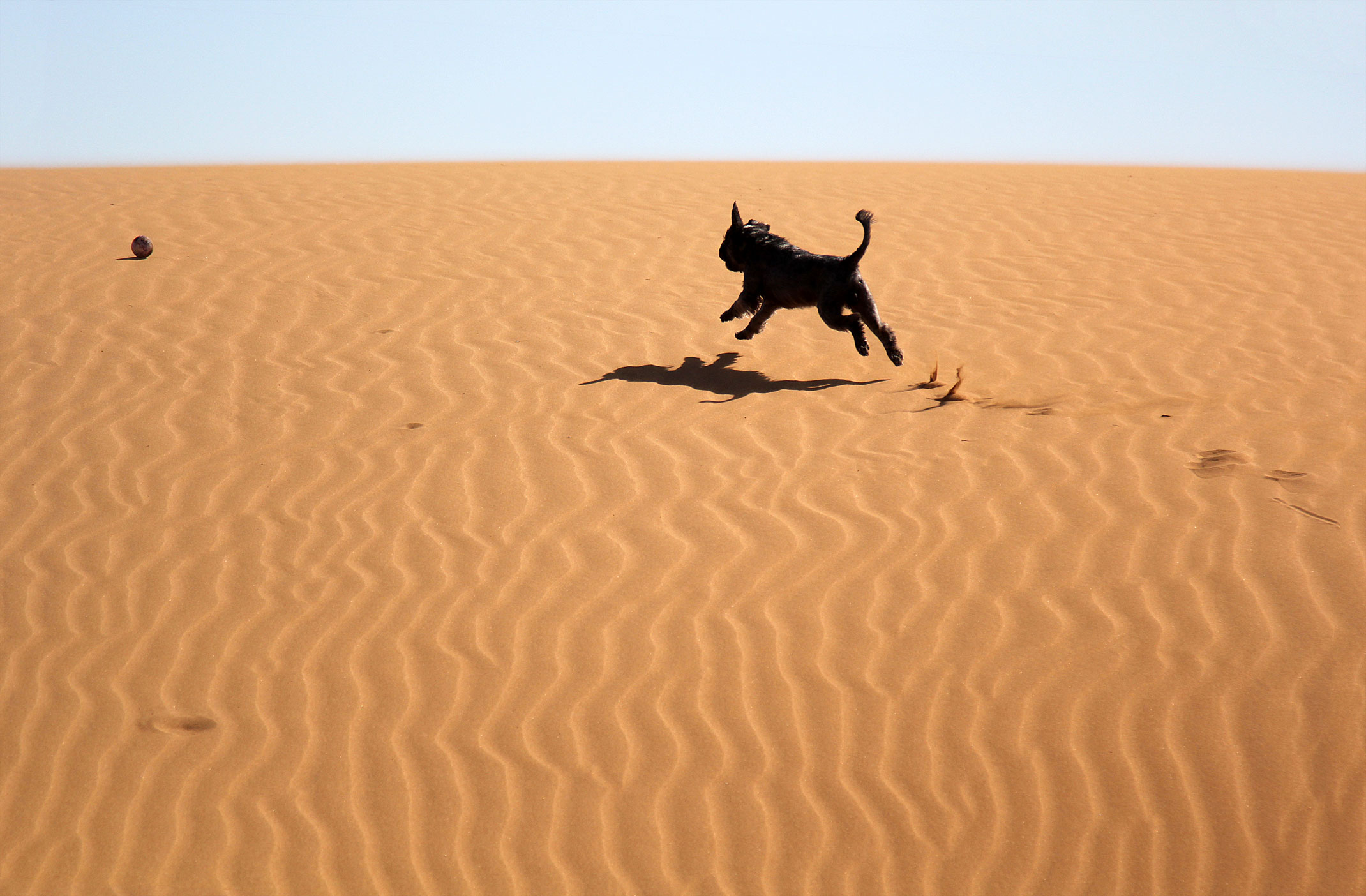 Sahara Zachodnia.Piaski pustyni.