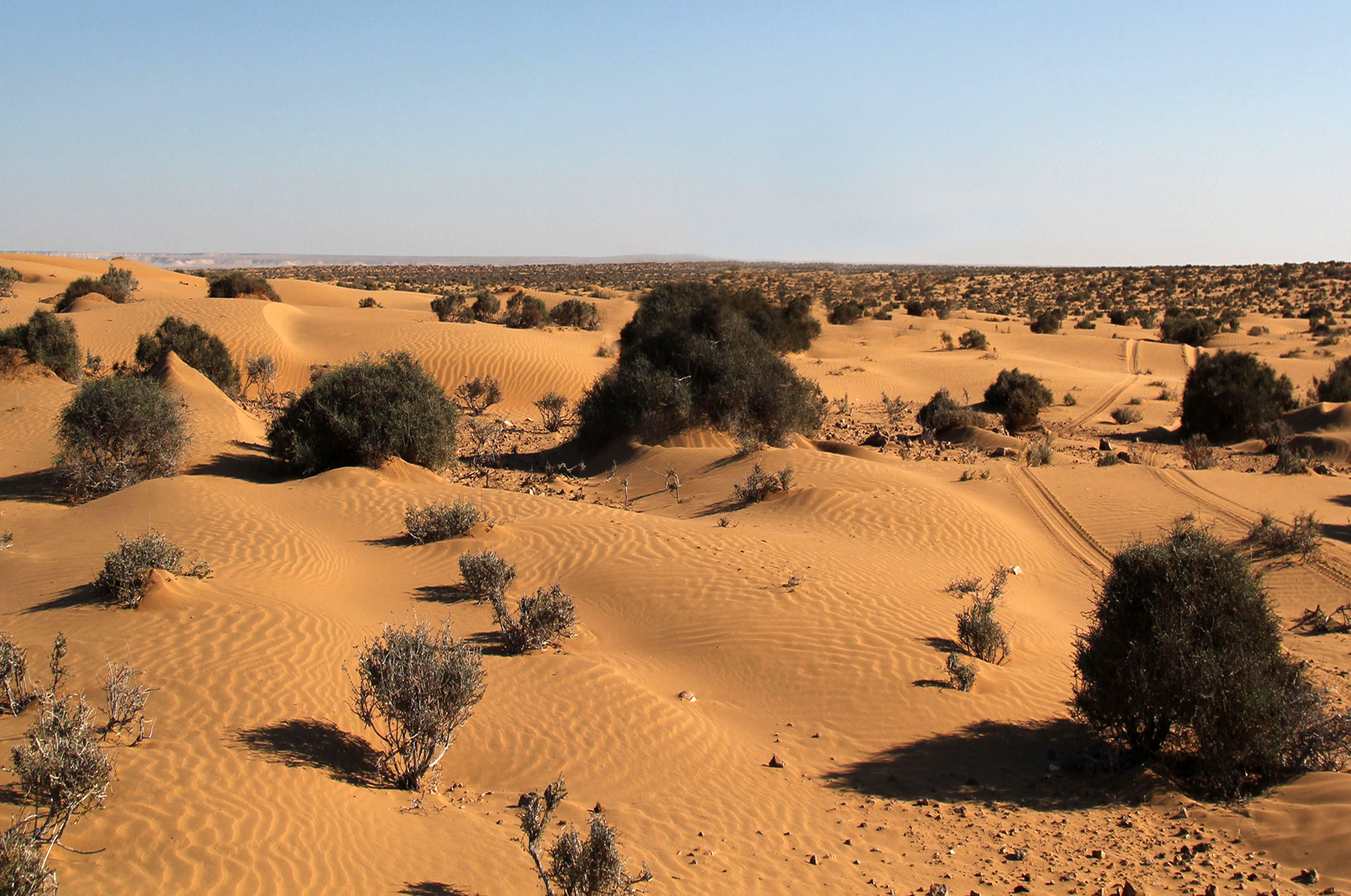Sahara Zachodnia.Nie ma dróg,jedziemy po śladach