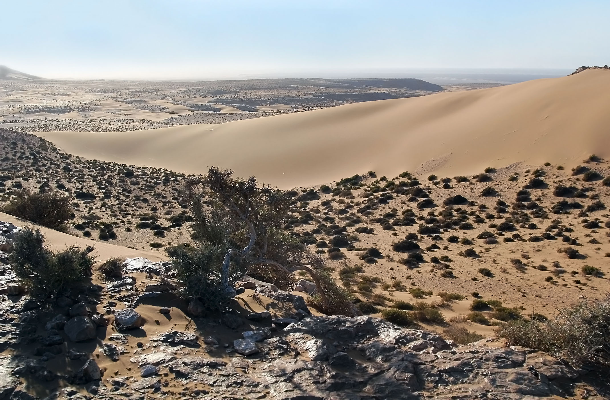 Sahara Zachodnia.Widok z klifu