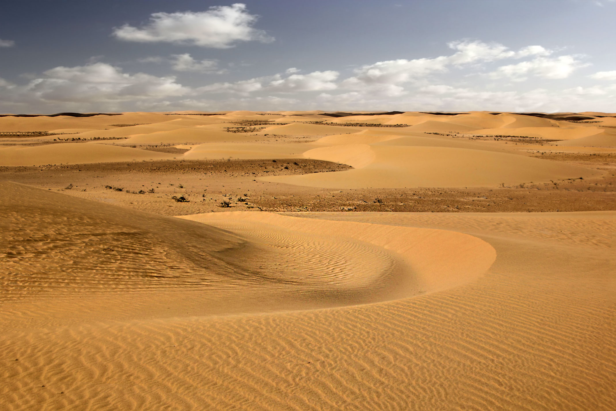 Piaski pustyni.Sahara