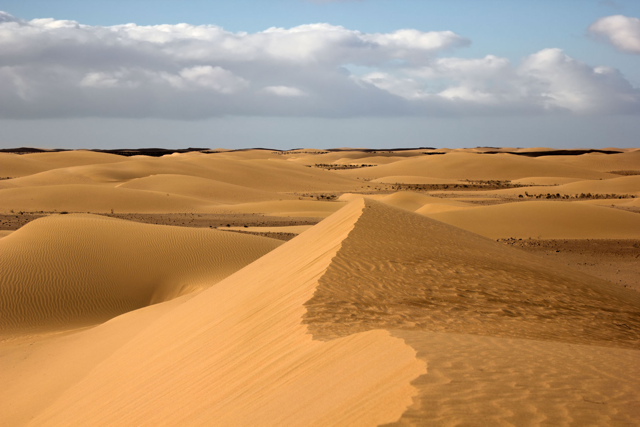 Maroko,Sahara Zachodnia