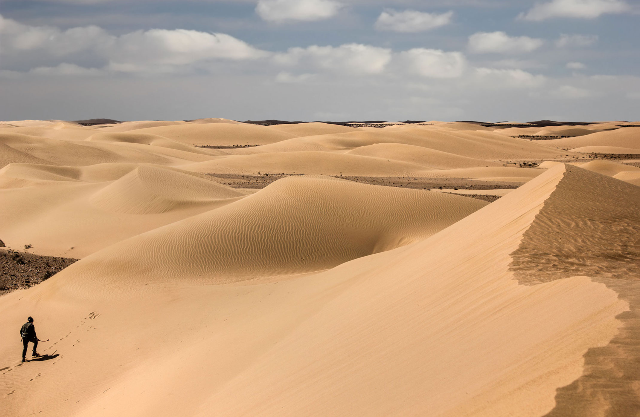 Sahara Zachodnia,piaski pustyni