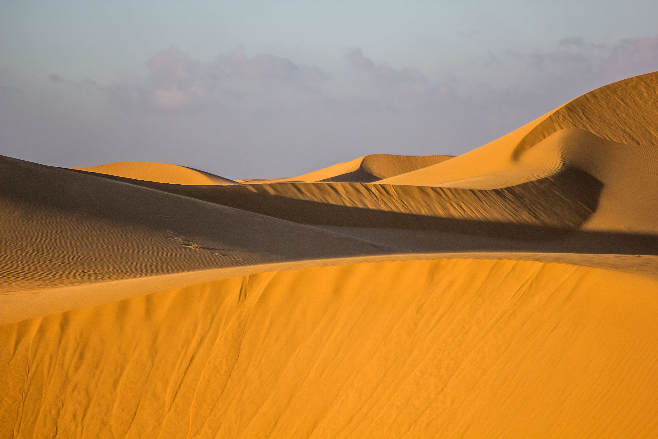 Diuny.Sahara Zachodnia