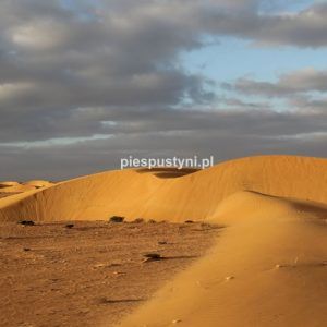 Dune de sable - Blog podróżniczy - PIES PUSTYNI