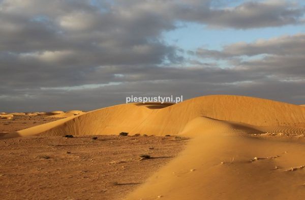Dune de sable - Blog podróżniczy - PIES PUSTYNI