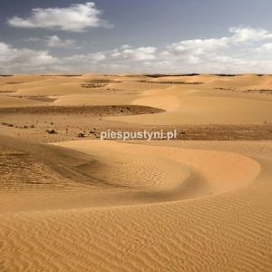 Falujący piasek - Blog podróżniczy - PIES PUSTYNI