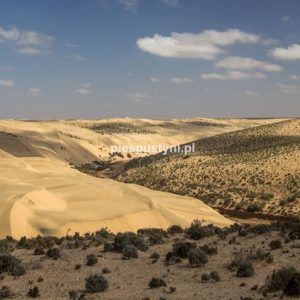 Oued Aoreora - Blog podróżniczy - PIES PUSTYNI