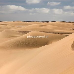 Piaski Sahary - Blog podróżniczy - PIES PUSTYNI