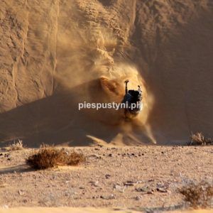 Pies pustyni - Blog podróżniczy - PIES PUSTYNI