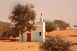 Pustynny meczet - Blog podróżniczy - PIES PUSTYNI