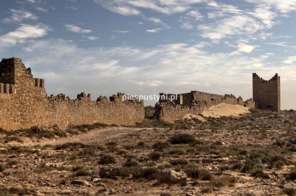 Ruiny fortu Aoreora - Blog podróżniczy - PIES PUSTYNI