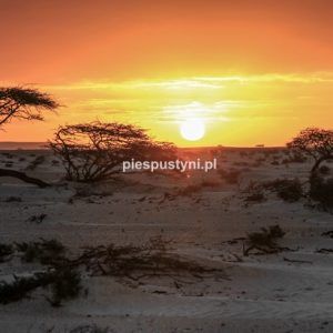 Zachód słońca na pustyni - Blog podróżniczy - PIES PUSTYNI