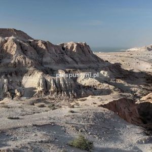 Oued Kraa - Blog podróżniczy - PIES PUSTYNI