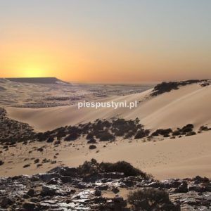 Wieczór na Saharze - Blog podróżniczy - PIES PUSTYNI