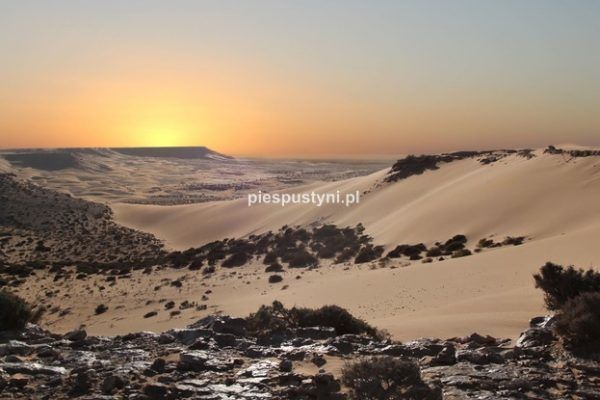 Wieczór na Saharze - Blog podróżniczy - PIES PUSTYNI