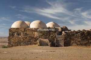 Zawiyya-Asmara - Blog podróżniczy - PIES PUSTYNI