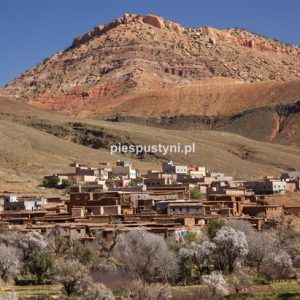 Marokańskie widoki - Blog podróżniczy - PIES PUSTYNI