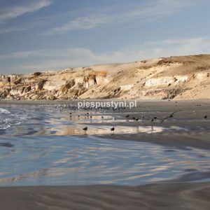 Plaża pod klifem - Blog podróżniczy - PIES PUSTYNI