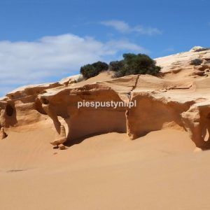 Rzeźby w piasku - Blog podróżniczy - PIES PUSTYNI