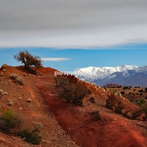 Marokańska zima - Blog podróżniczy - PIES PUSTYNI
