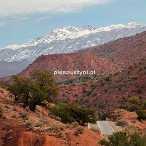 Zima w Maroku - Blog podróżniczy - PIES PUSTYNI