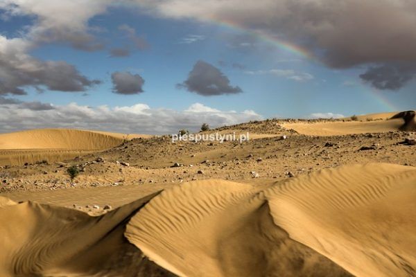 Tęcza nad Saharą - Blog podróżniczy - PIES PUSTYNI