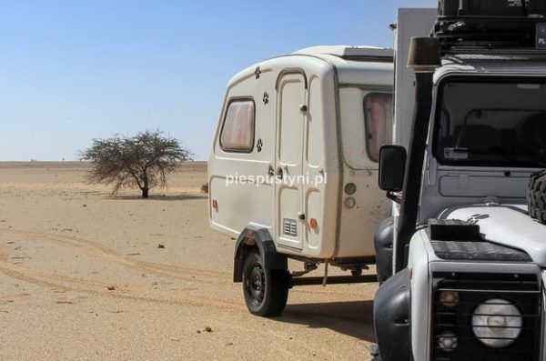 Niewiadów N126 pustynnie - Blog podróżniczy - PIES PUSTYNI
