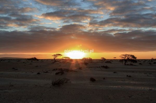 Zachód słońca na pustyni - Blog podróżniczy - PIES PUSTYNI