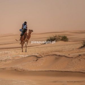 Żar,pył i piasek - Blog podróżniczy - PIES PUSTYNI