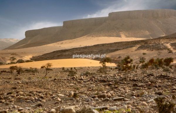 Pustynny region Adrar 1 - Blog podróżniczy - PIES PUSTYNI