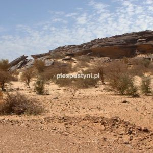 Pustynny region Adrar 10 - Blog podróżniczy - PIES PUSTYNI