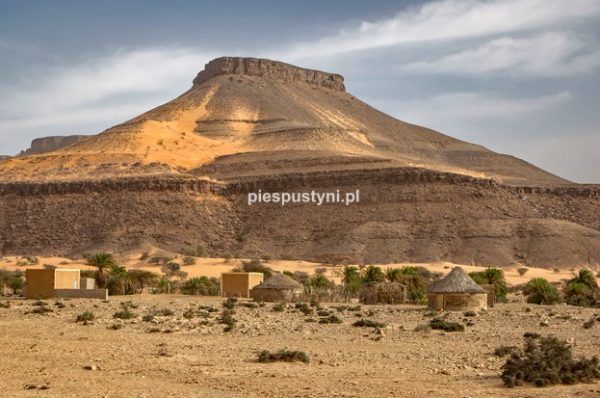 Pustynny region Adrar 3 - Blog podróżniczy - PIES PUSTYNI
