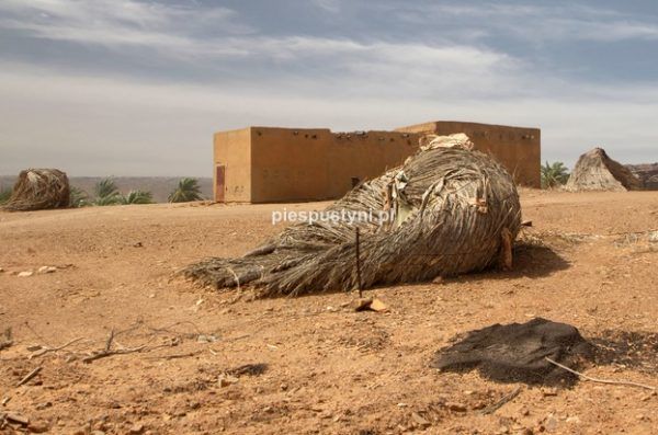Pustynny region Adrar 5 - Blog podróżniczy - PIES PUSTYNI