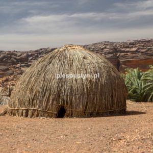 Pustynny region Adrar 6 - Blog podróżniczy - PIES PUSTYNI