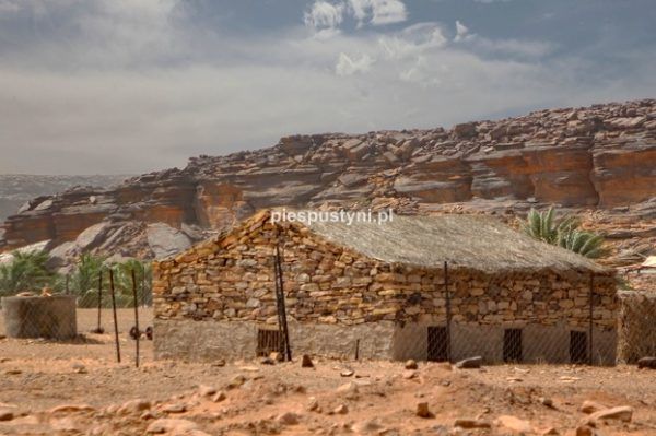 Pustynny region Adrar 7 - Blog podróżniczy - PIES PUSTYNI