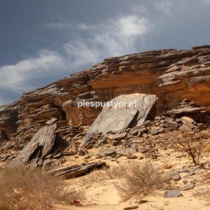 Pustynny region Adrar 8 - Blog podróżniczy - PIES PUSTYNI