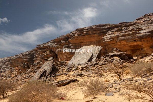 Pustynny region Adrar 8 - Blog podróżniczy - PIES PUSTYNI
