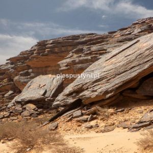 Pustynny region Adrar 9 - Blog podróżniczy - PIES PUSTYNI