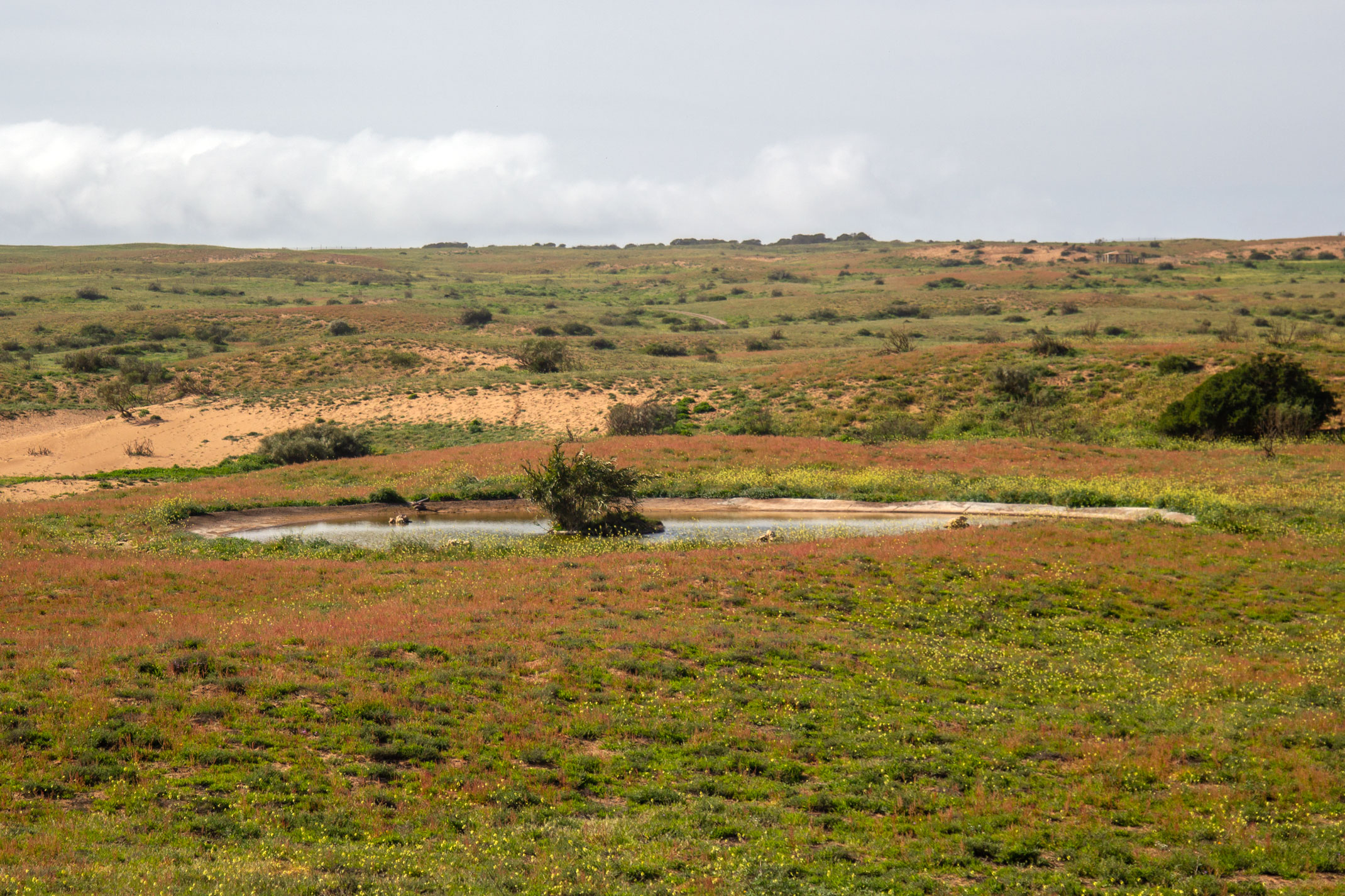 Souss Massa Nationalpark Maroko
